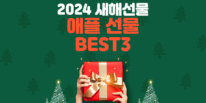 2024-새해애플선물-best3