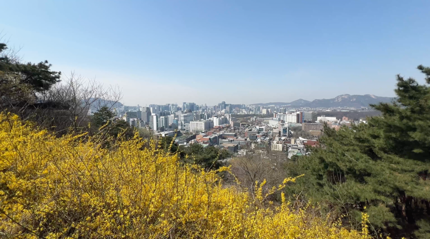 낙산공원에서-바라보는-서울도심-뷰